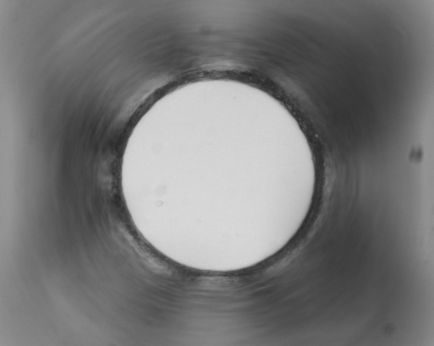 X0000112081305200909151103