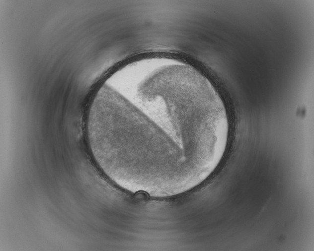 X0000112081306200909151103