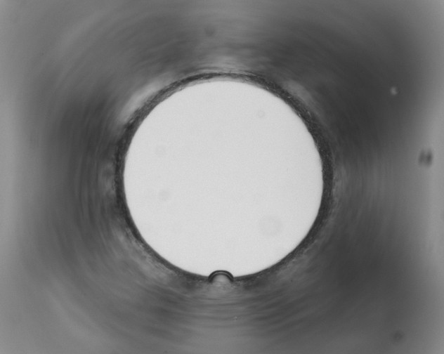 X0000112081307200909151103