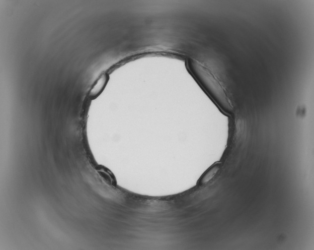 X0000112081308200909151103