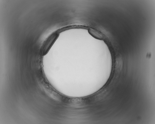 X0000112081310200909151103