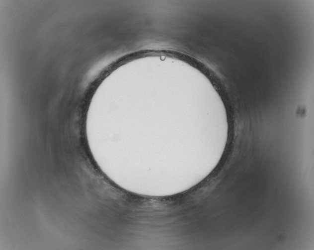 X0000112081311200909151103