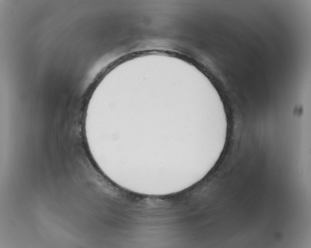 X0000112081312200909151103