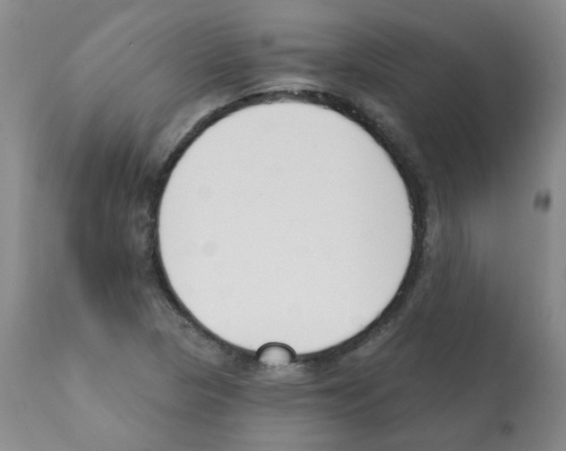 X0000112081313200909151103