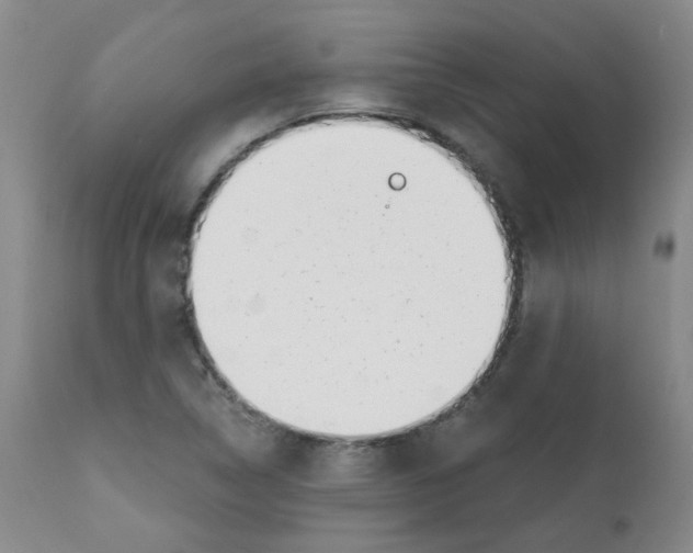 X0000112081314200909151103