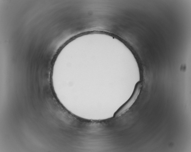 X0000112081316200909151103