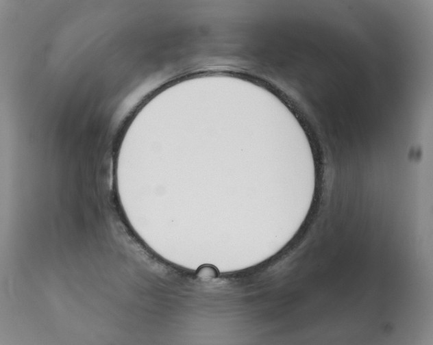 X0000112081317200909151103