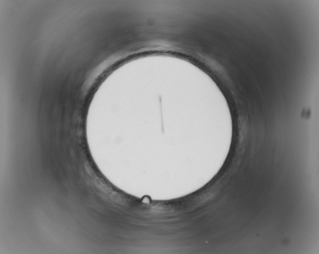 X0000112081318200909151103
