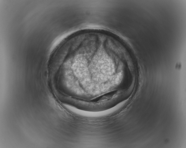 X0000112081319200909151103
