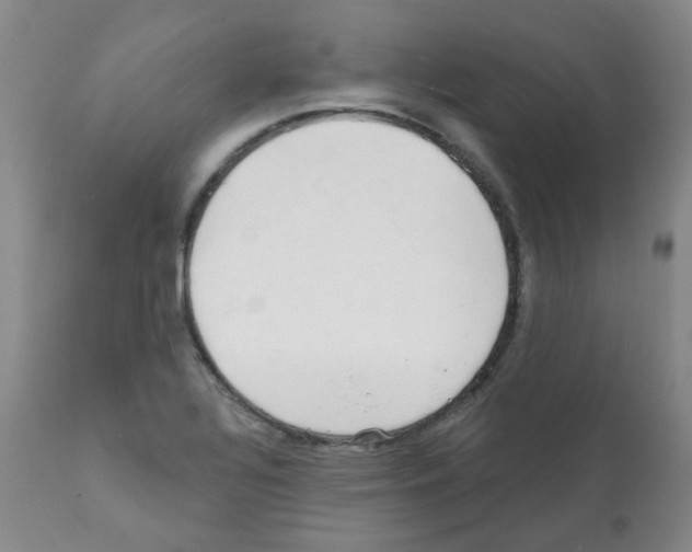 X0000112081320200909151103