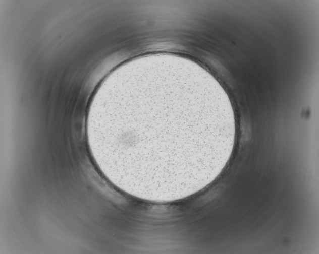 X0000112081322200909151103