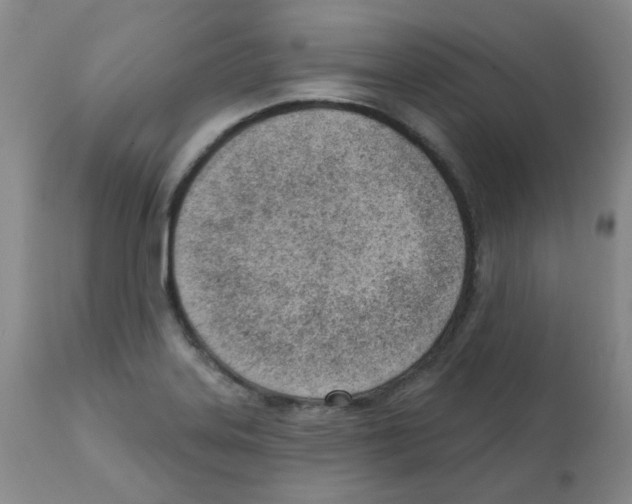 X0000112081323200909151103
