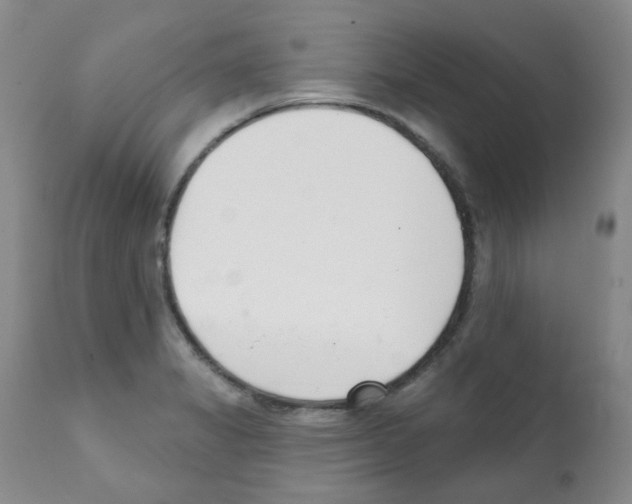 X0000112081325200909151103