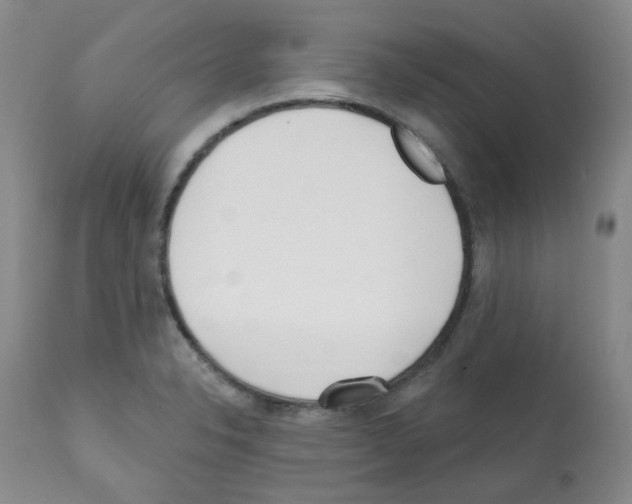 X0000112081326200909151103