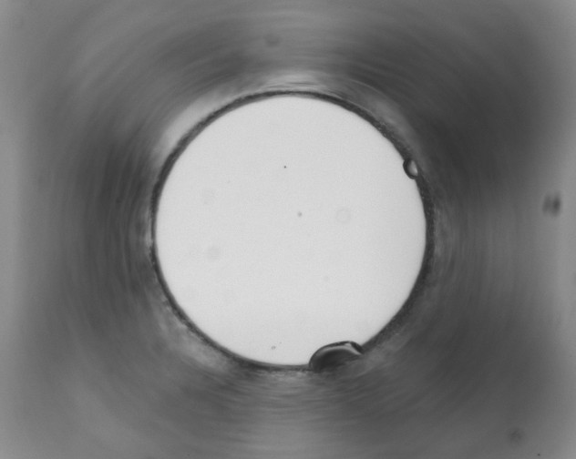 X0000112081328200909151103