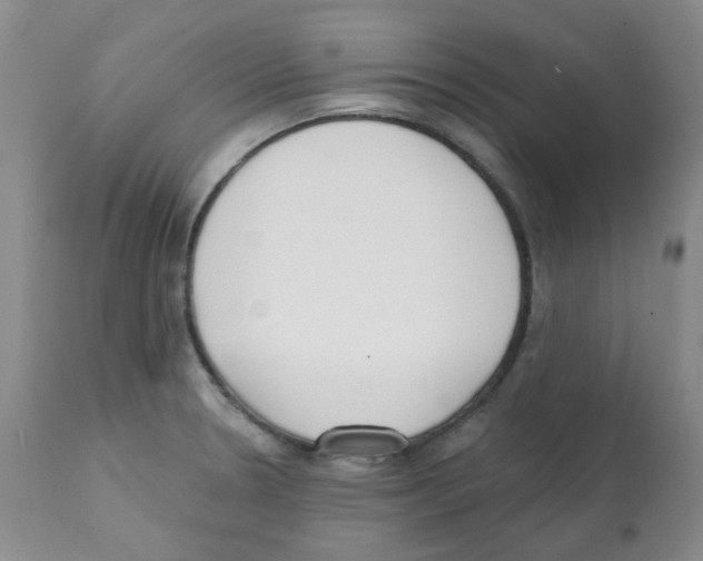X0000112081330200909151103