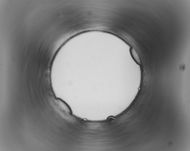 X0000112081332200909151103