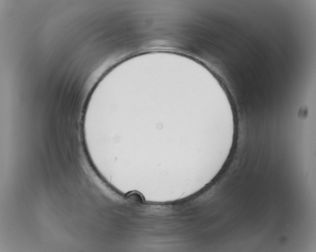 X0000112081333200909151103