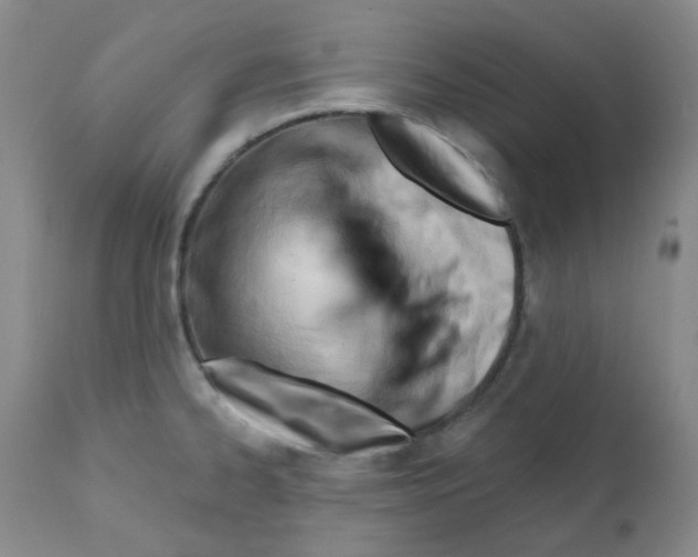 X0000112081334200909151103