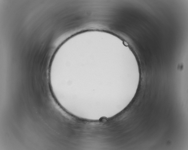 X0000112081335200909151103
