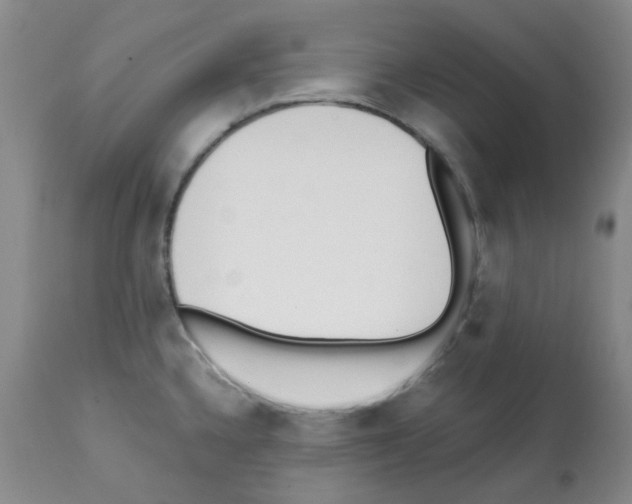 X0000112081336200909151103