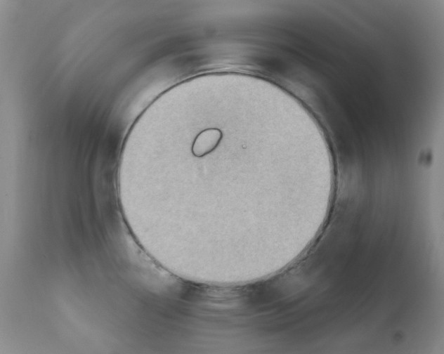 X0000112081338200909151103