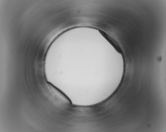 X0000112081340200909151103