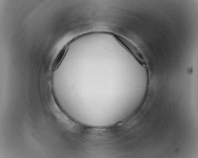 X0000112081342200909151103