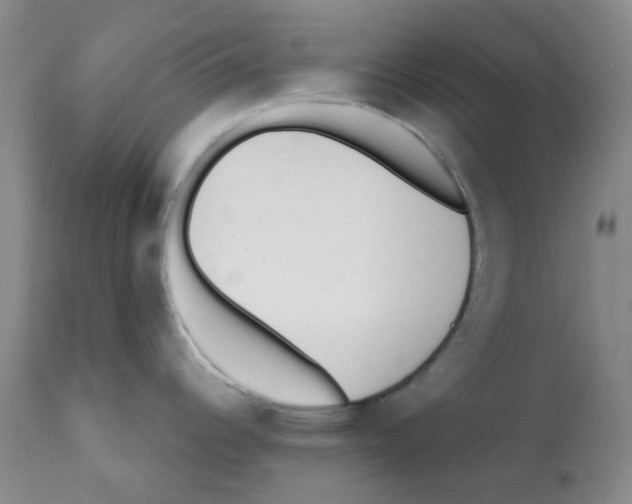 X0000112081344200909151103