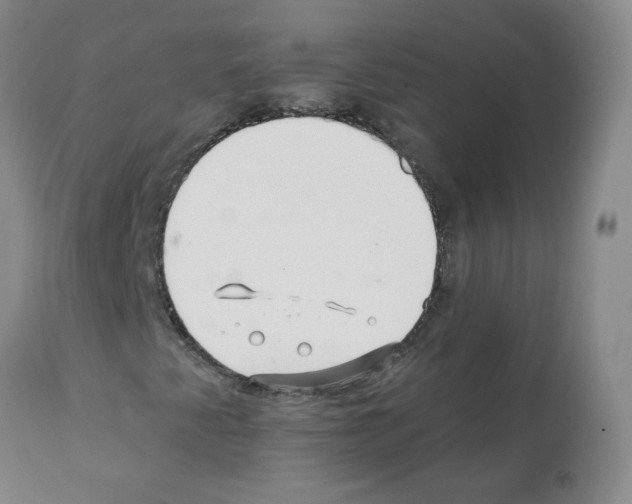 X0000112081345200909151103