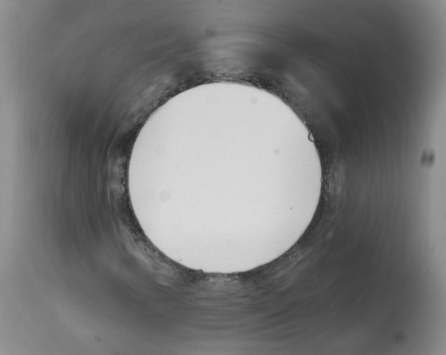 X0000112081346200909151103