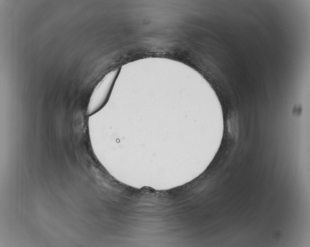 X0000112081347200909151103