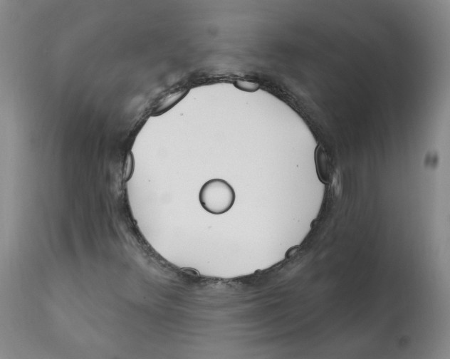 X0000112081348200909151103
