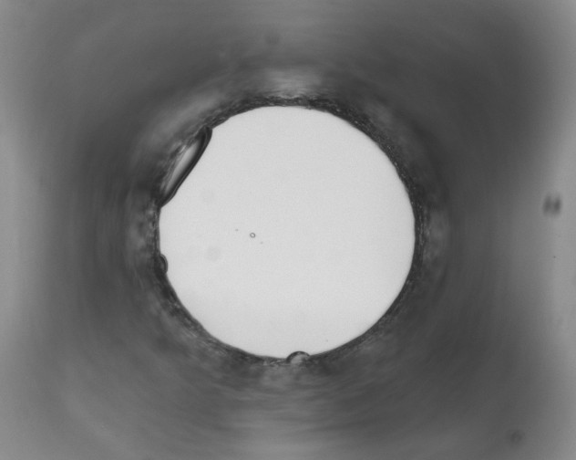 X0000112081349200909151103