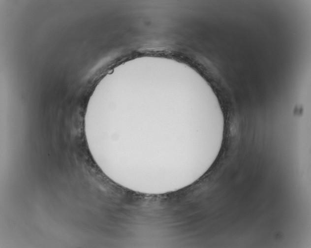 X0000112081350200909151103