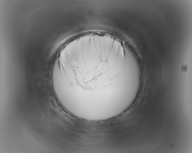 X0000112081352200909151103