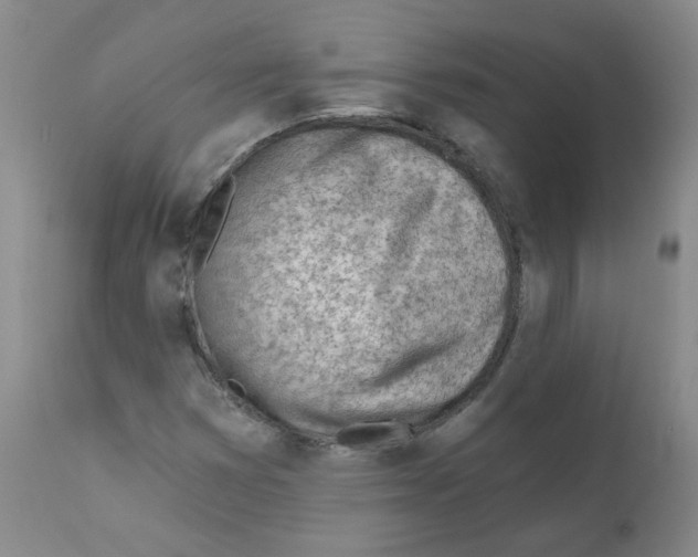 X0000112081353200909151102