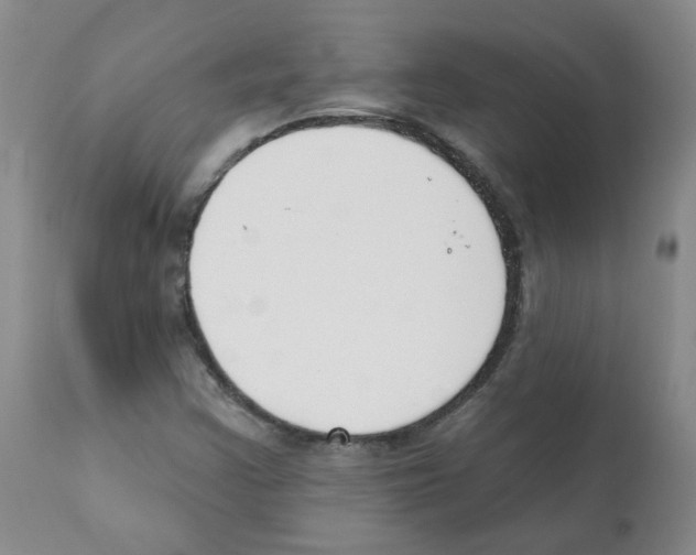 X0000112081355200909151102