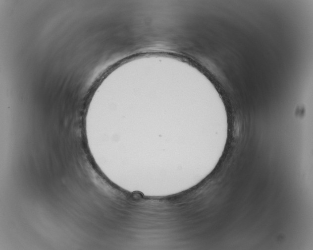 X0000112081356200909151102