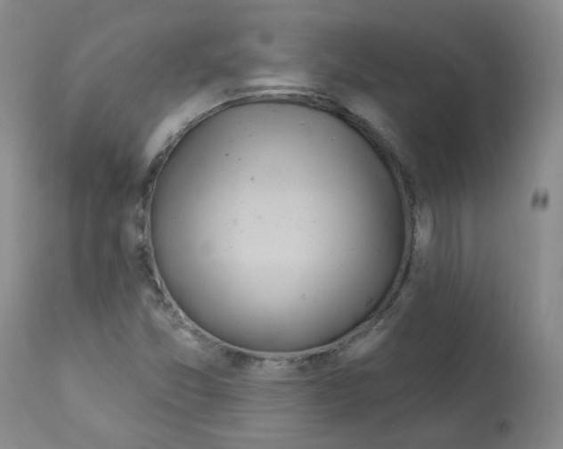 X0000112081357200909151102