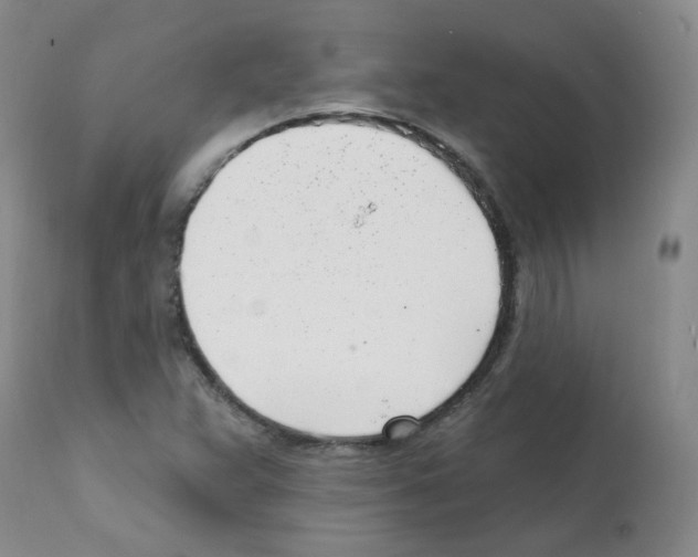 X0000112081359200909151102