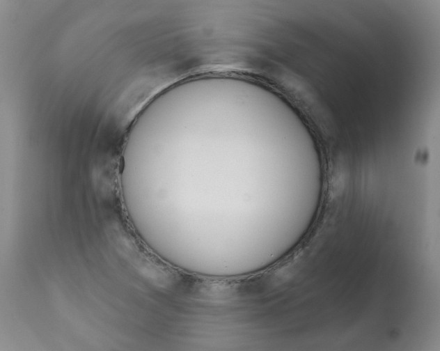 X0000112081361200909151102