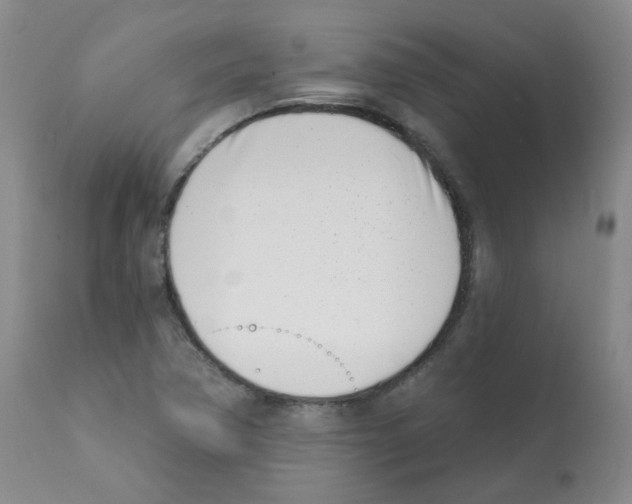 X0000112081362200909151102