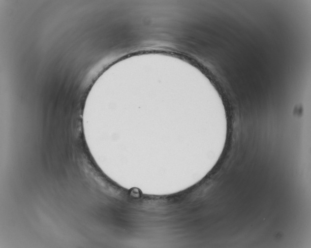 X0000112081363200909151102