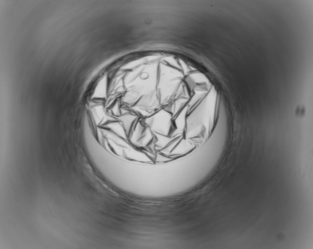 X0000112081364200909151102