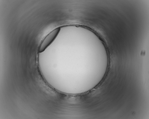 X0000112081365200909151102