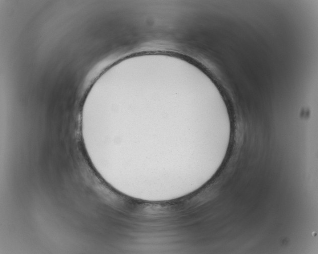 X0000112081366200909151102