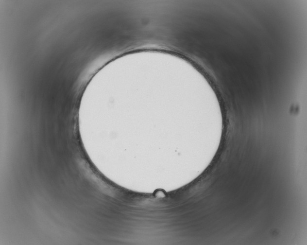 X0000112081367200909151102