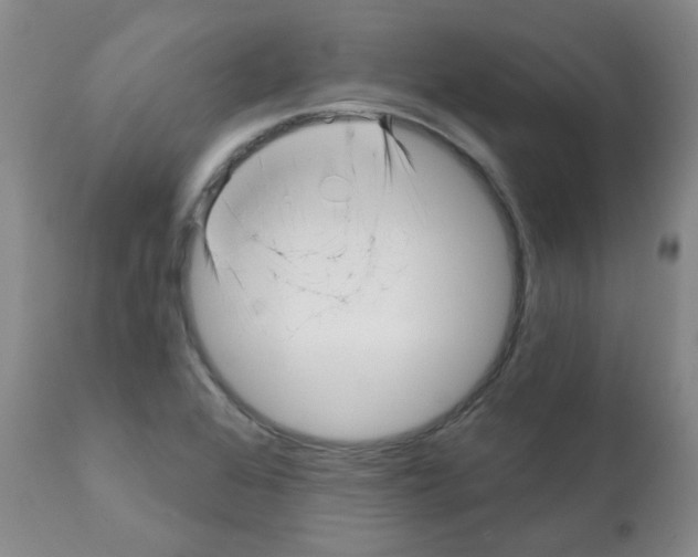 X0000112081368200909151102