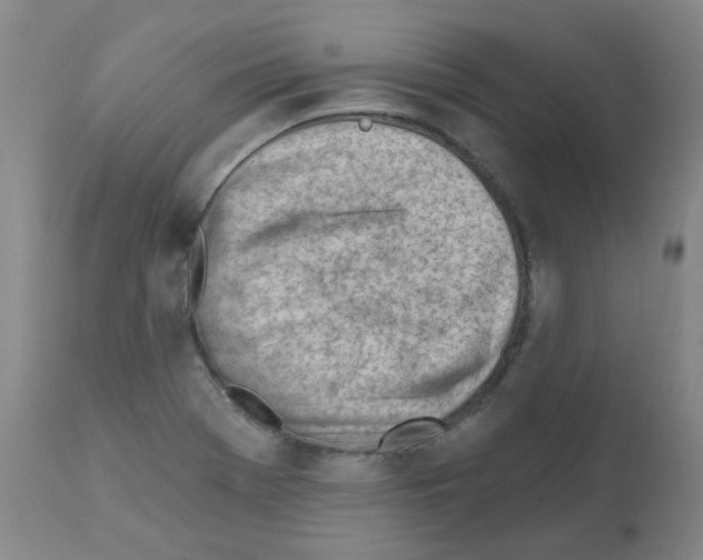 X0000112081369200909151102